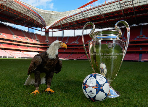 专家：全运会足球应对交流球员数量进行限制，才能推动青训